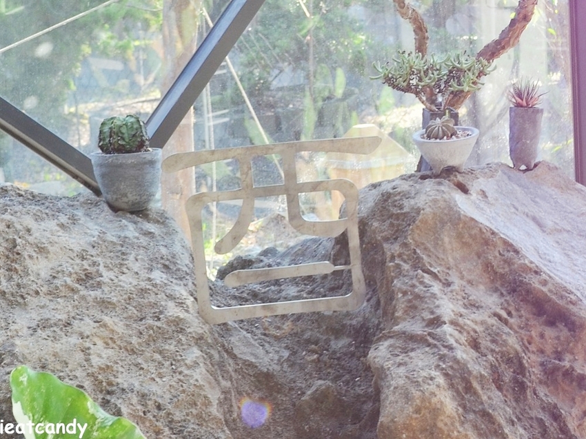 棉花糖雲朵圍繞的多肉植物環境，引進自然光線，享受愜意時光~