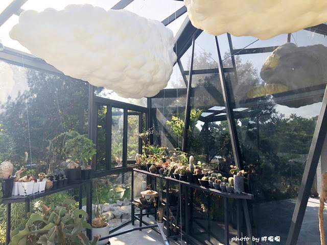 【彰化 田尾】酉 Succulent & Artwork☁☁☁捌程景觀設計內，唯美玻璃屋搭配沙漠造景，超多萌翻天的多肉植物還有雲朵造景，超好拍的小景點，園內販售咖啡，來個悠閒午後約會吧😉