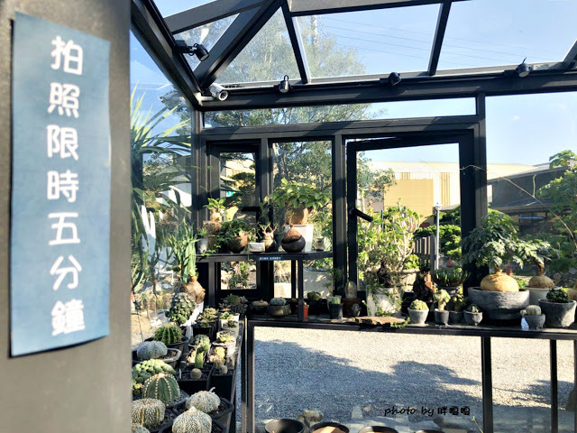 【彰化 田尾】酉 Succulent & Artwork☁☁☁捌程景觀設計內，唯美玻璃屋搭配沙漠造景，超多萌翻天的多肉植物還有雲朵造景，超好拍的小景點，園內販售咖啡，來個悠閒午後約會吧😉