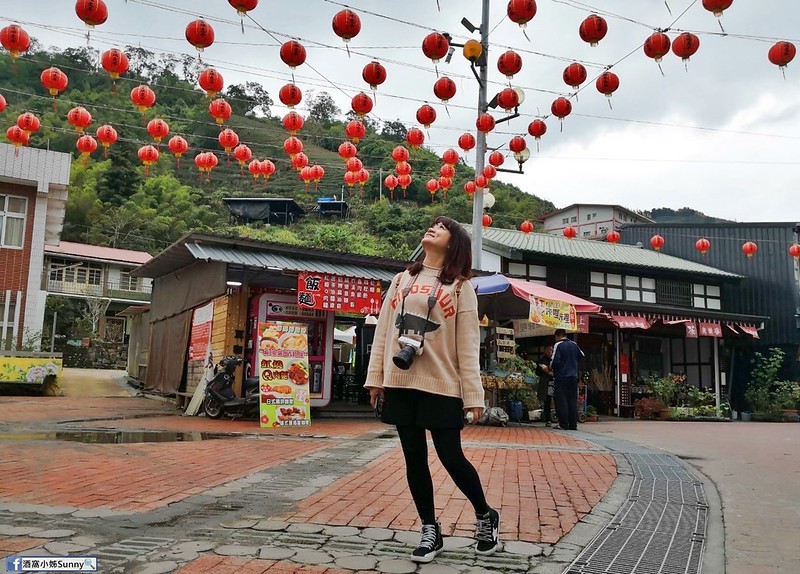 嘉義縣一日遊x太平一日遊x空氣圖書館x太平老街x太平雲梯