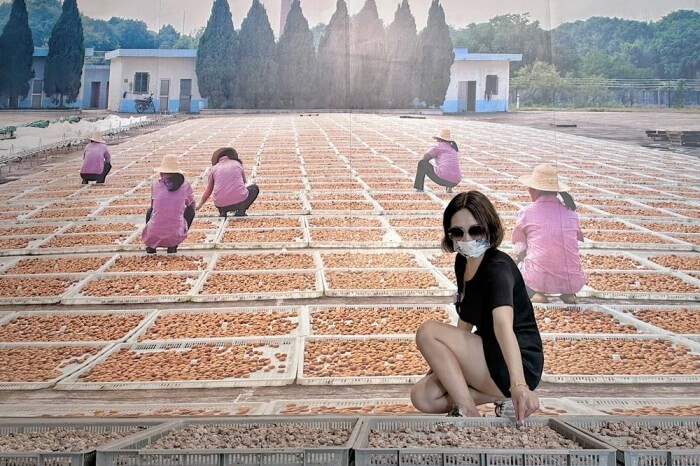 嘉義景點//空氣圖書館Air Library,想不到太平雲梯旁有這麼美的文青打卡店