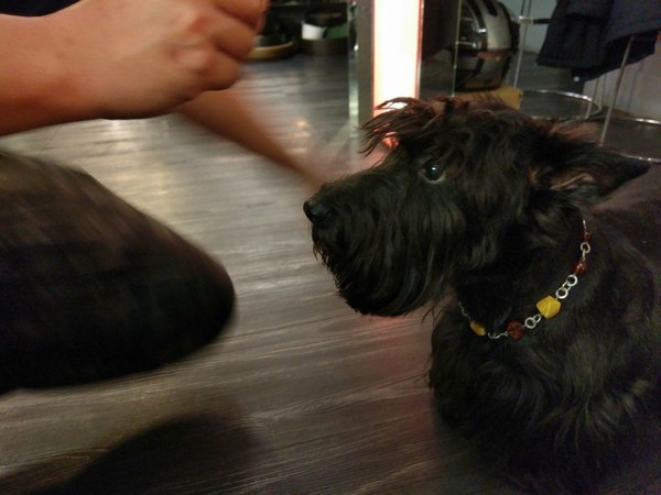 La Design Cafe:La Design Cafe設計師的咖啡館-位在永康街巷弄內的特色咖啡館 店內滿滿藝術品等你來欣賞 餐點也不錯 很適合來個悠閒的下午茶