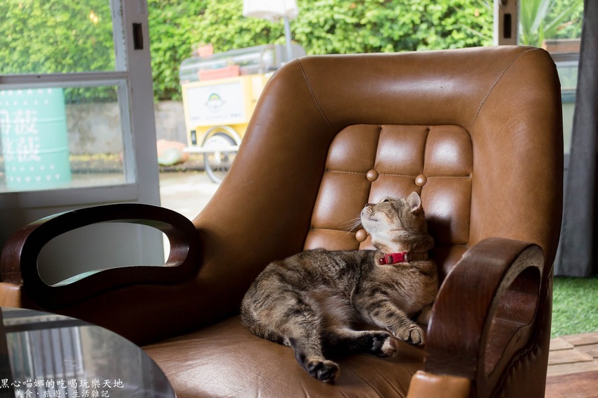 台南北區︱堤貝街咖啡&彩色菠菠台南館　秘巷裡的馥郁咖啡香、現點現採極鮮蔬菜；府城老屋裡，溫暖味蕾、填飽脾胃的輕食咖啡館！