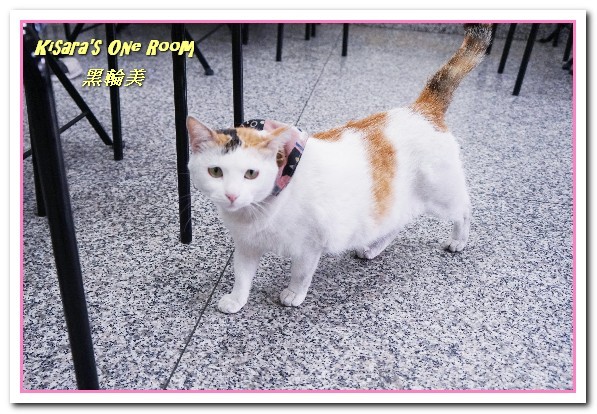 【逢甲】黑輪美：逢甲小吃．趣味新奇．顛覆傳統口味炸的關東煮──黑輪美