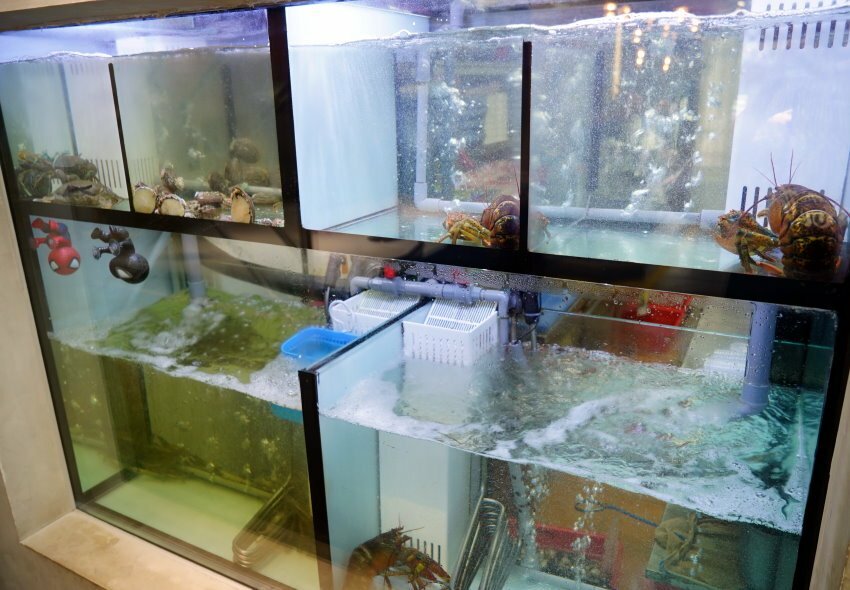 【台北火鍋】天鍋宴.雙人套餐豐富滿料,飲品、冰淇淋、甜點吃到飽!