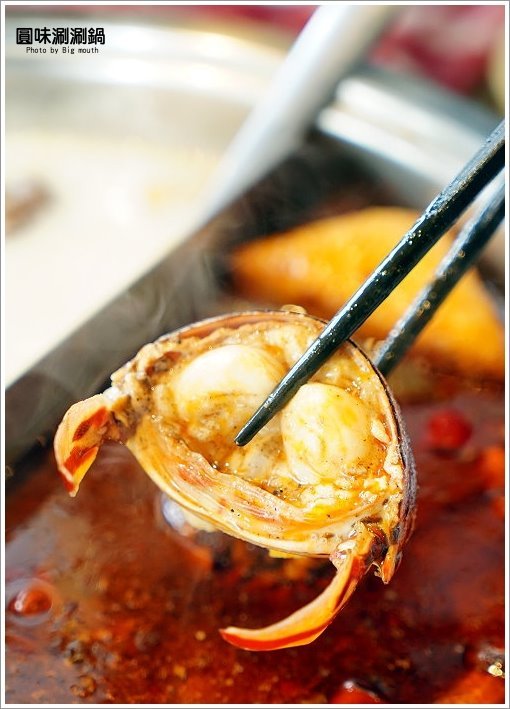 【台北火鍋】超可愛小熊泡湯! 圓味涮涮鍋．大份量肉盤、大貝里斯龍蝦，必點美味!