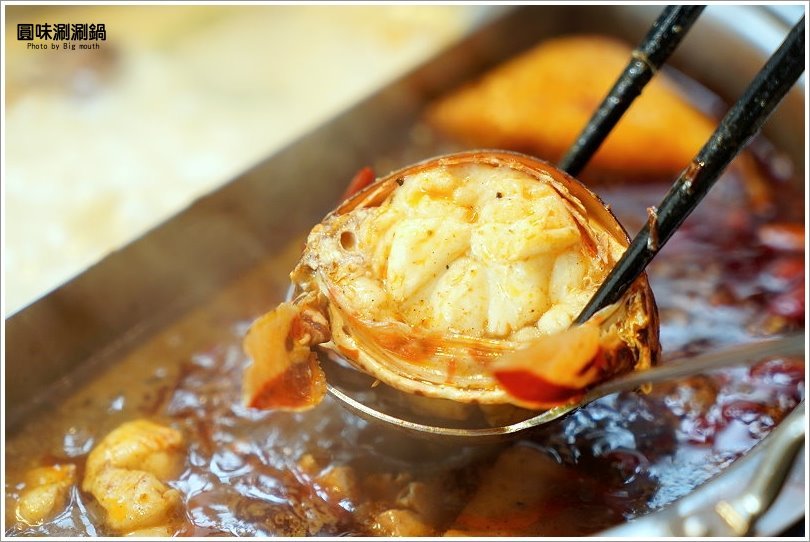 【台北火鍋】超可愛小熊泡湯! 圓味涮涮鍋．大份量肉盤、大貝里斯龍蝦，必點美味!