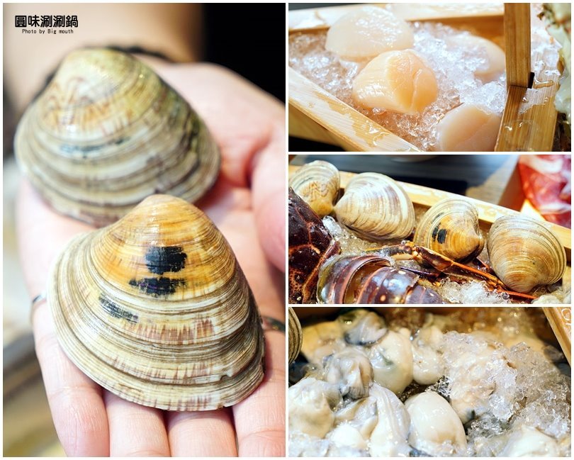 【台北火鍋】超可愛小熊泡湯! 圓味涮涮鍋．大份量肉盤、大貝里斯龍蝦，必點美味!