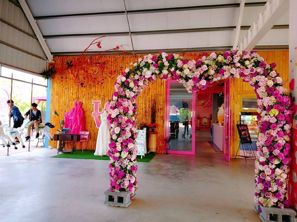 44943438_263046484351191_3642665525852504064_n