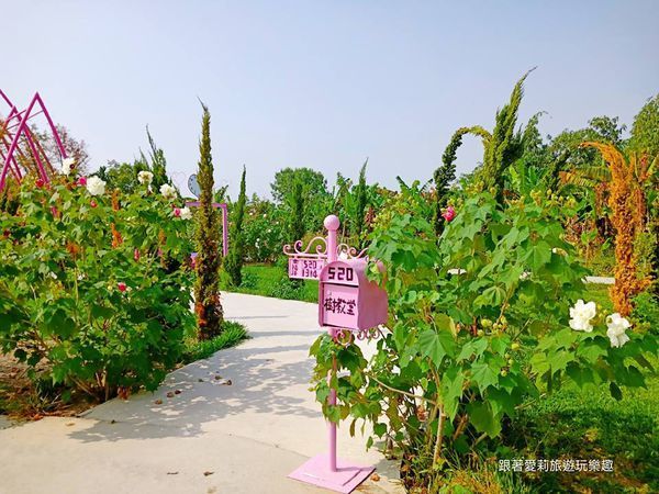 44897540_730931863928665_6204376723484573696_n