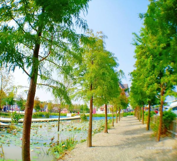 44959247_430485387480285_412966225111416832_n