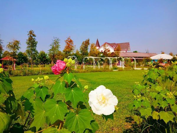 44971991_342968266476314_4025642893438877696_n