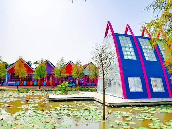 44964303_258993854774460_871601004984926208_n