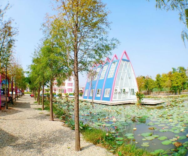 44921171_902907049918697_4834125853610737664_n