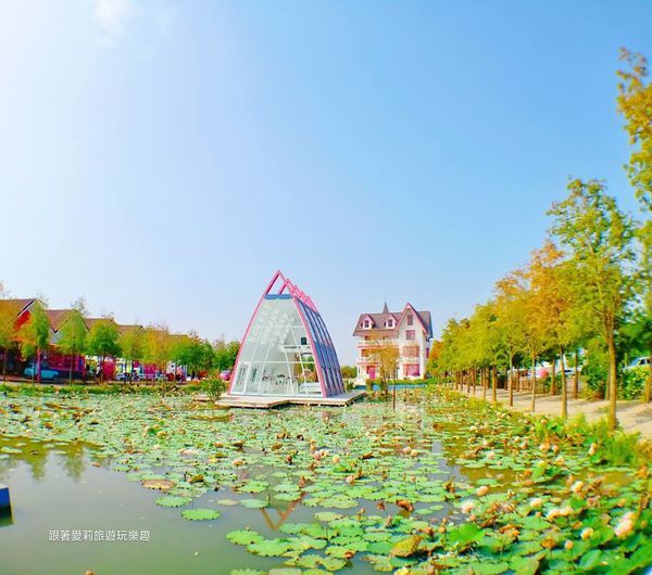 43743633_283042808994415_1016420945654448128_n