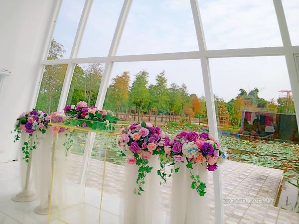 43561638_1330644877071502_473000049614258176_n