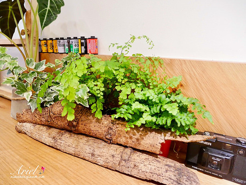 【台南美食】漫渡拾光-西門店 溫馨派開放式裝潢 ‖ 攝影師風格的浪漫飲品 ❤ 逛街累了就來杯療育飲品吧