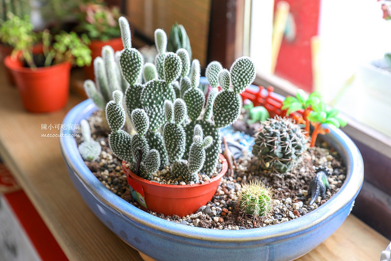  @陳小可的吃喝玩樂