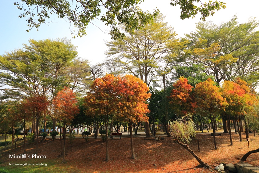 巴克禮公園10.JPG 巴克禮公園10.JPG