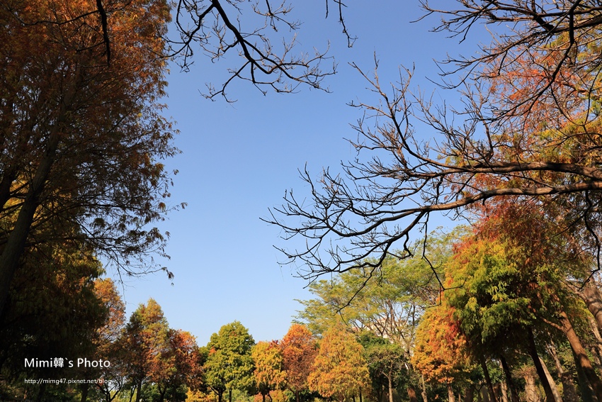巴克禮公園19.JPG 巴克禮公園19.JPG
