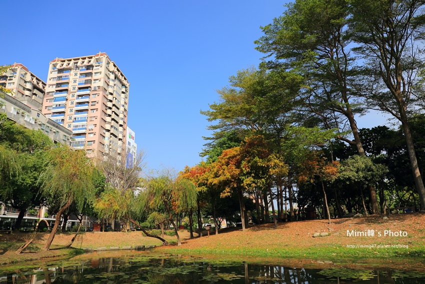 巴克禮公園12.JPG 巴克禮公園12.JPG