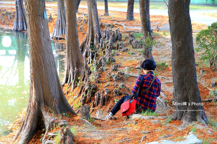 巴克禮公園28.JPG 巴克禮公園28.JPG