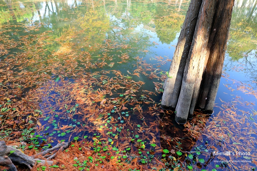 巴克禮公園26.JPG 巴克禮公園26.JPG