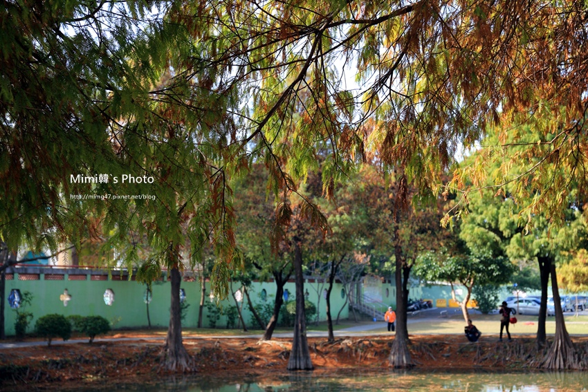 巴克禮公園25.JPG 巴克禮公園25.JPG