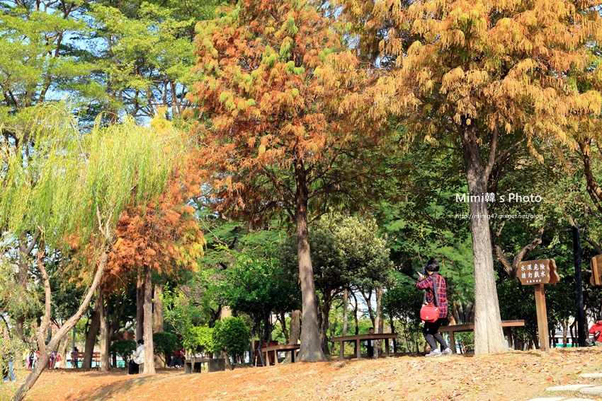 巴克禮公園13.JPG 巴克禮公園13.JPG