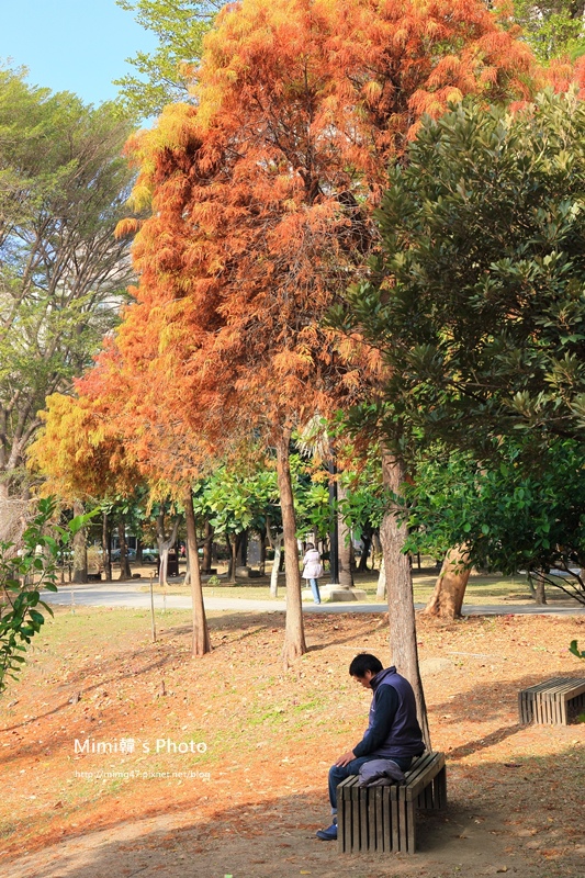 巴克禮公園34.JPG 巴克禮公園34.JPG