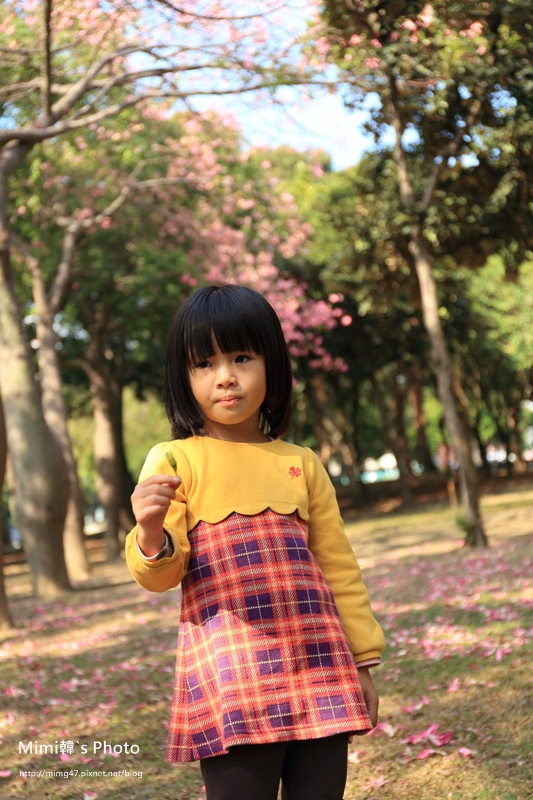 巴克禮公園40.JPG 巴克禮公園40.JPG