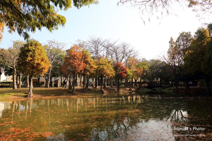 巴克禮公園9.JPG 巴克禮公園9.JPG