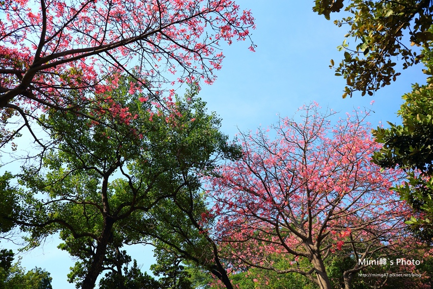 巴克禮公園6.JPG 巴克禮公園6.JPG