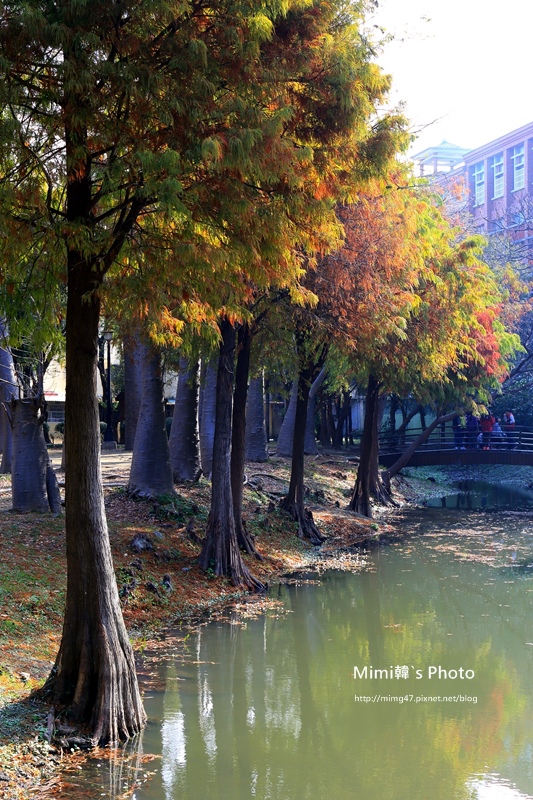 巴克禮公園31.JPG 巴克禮公園31.JPG