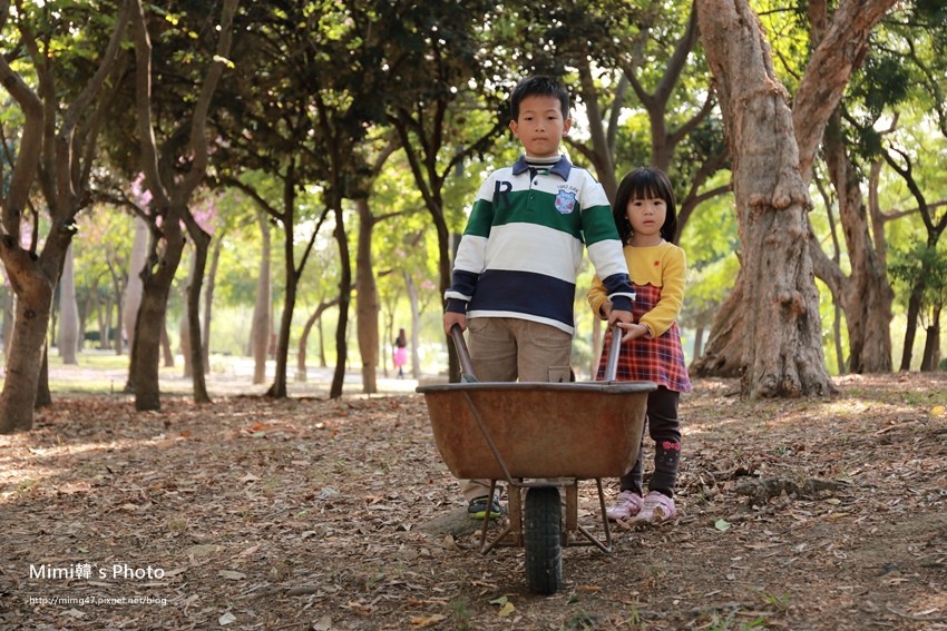 巴克禮公園41.JPG 巴克禮公園41.JPG