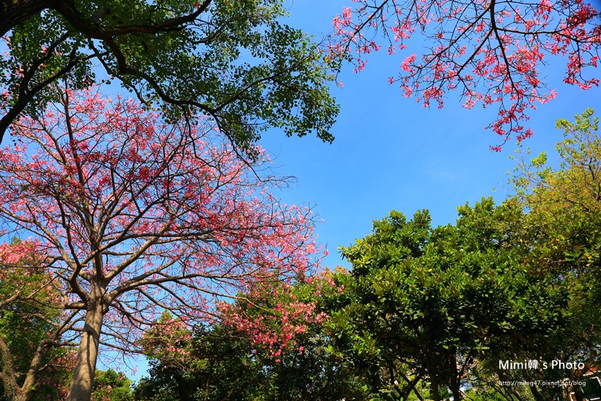 巴克禮公園5.JPG 巴克禮公園5.JPG