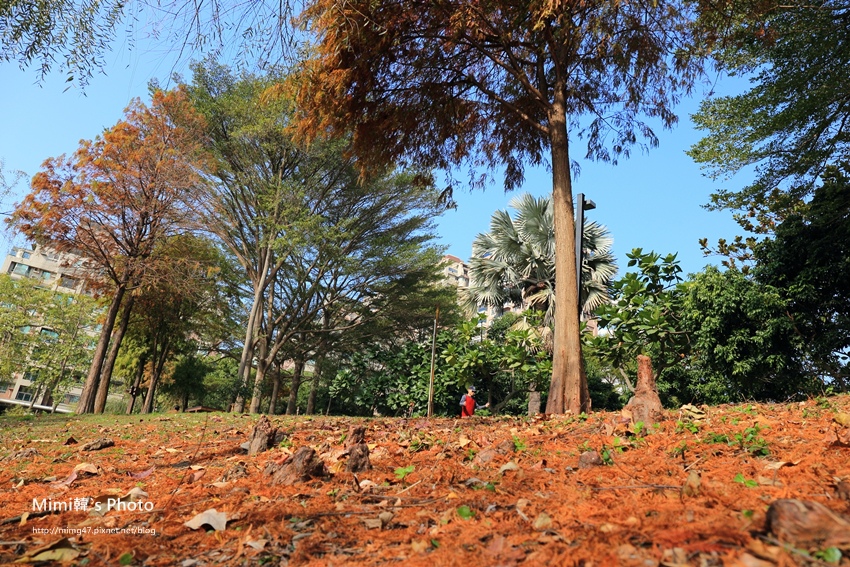 巴克禮公園23.JPG 巴克禮公園23.JPG