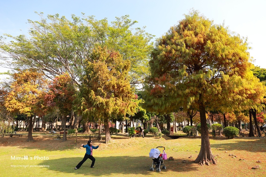 巴克禮公園35.JPG 巴克禮公園35.JPG