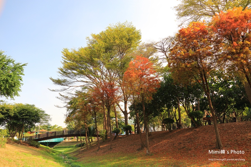 巴克禮公園11.JPG 巴克禮公園11.JPG