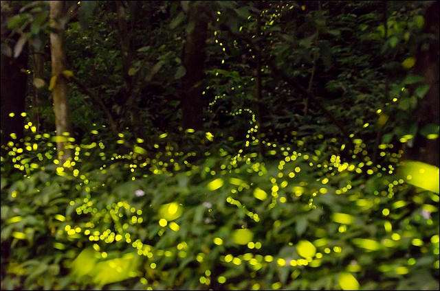 11163864_1121931317822373_9058124260150075621_o