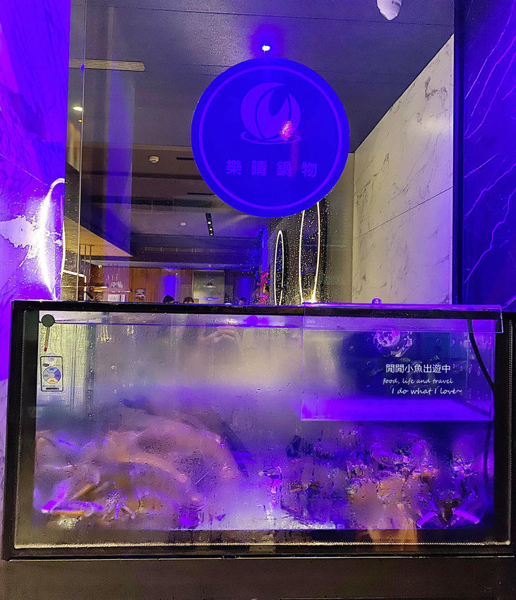 117594788_3307242499332669_6129441097896441161_o.jpg 中山國小火鍋樂晴鍋物。精緻時尚火鍋店,點套餐活龍蝦只要$399、飲料無限暢飲