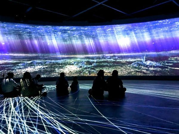 1542803117820 (1).jpg