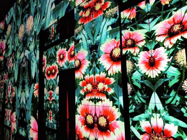 2018-11-21-10-53-59 (1).jpg