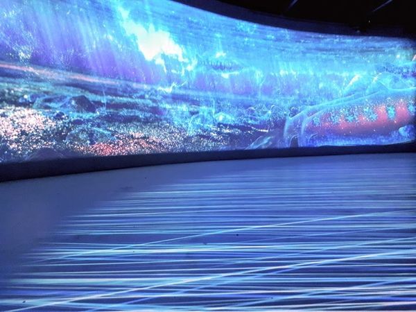 2018-11-21-10-10-36 (1).jpg