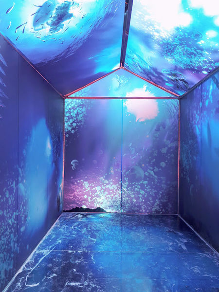 2018-11-21-11-40-47 (1).jpg