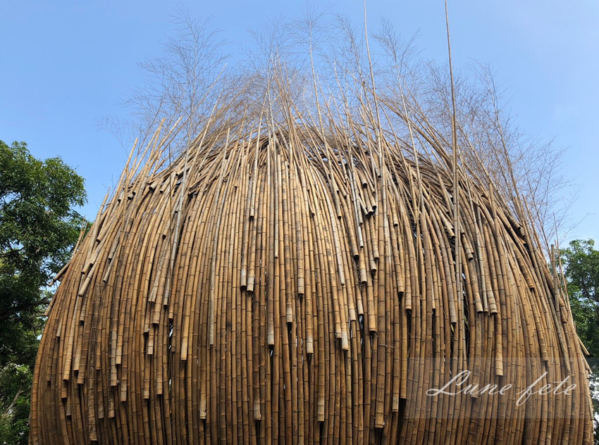 o3cca2893026572f1b1d9106f6d7482bc_36740152_181114_0016