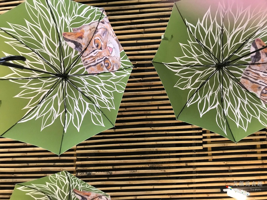 台中花博后里森林園區最強教戰攻略