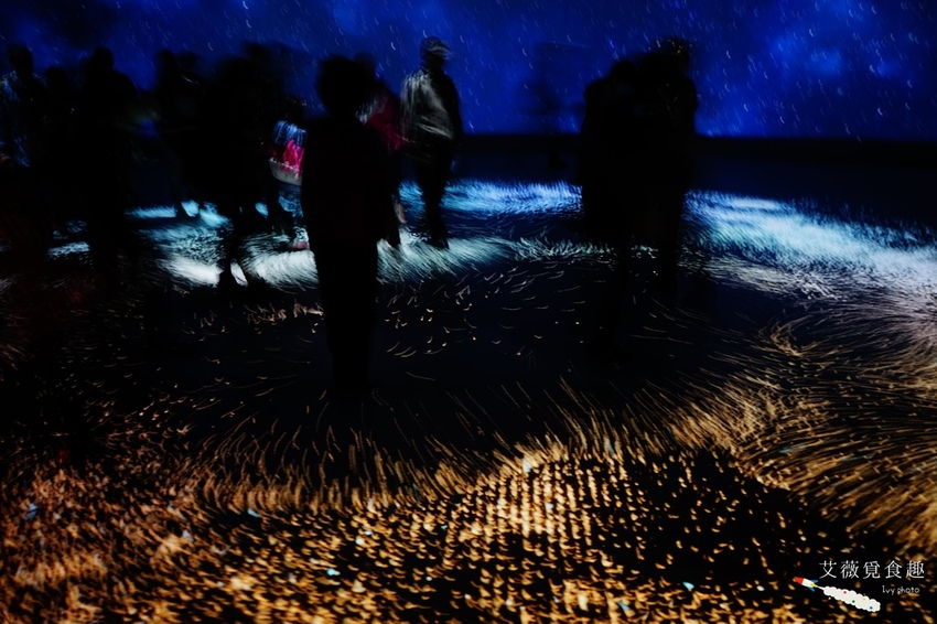 台中花博后里森林園區最強教戰攻略