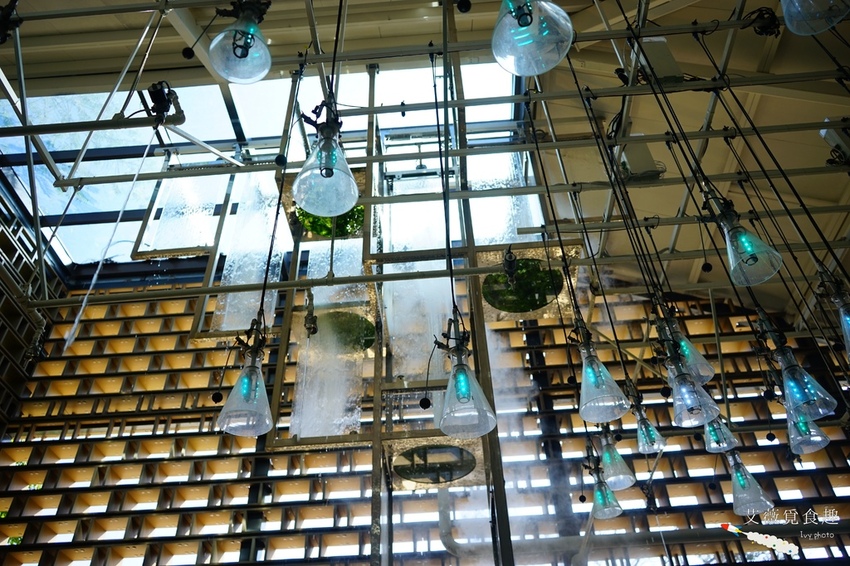 台中花博后里森林園區最強教戰攻略