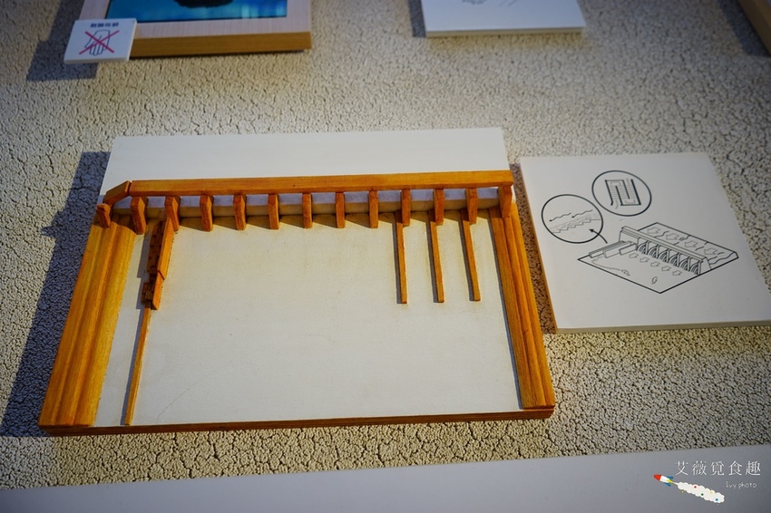 台中花博后里森林園區最強教戰攻略